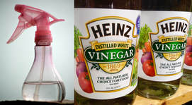 Vinegar Spray Bottle for House Cleaning in Lansing Michigan
